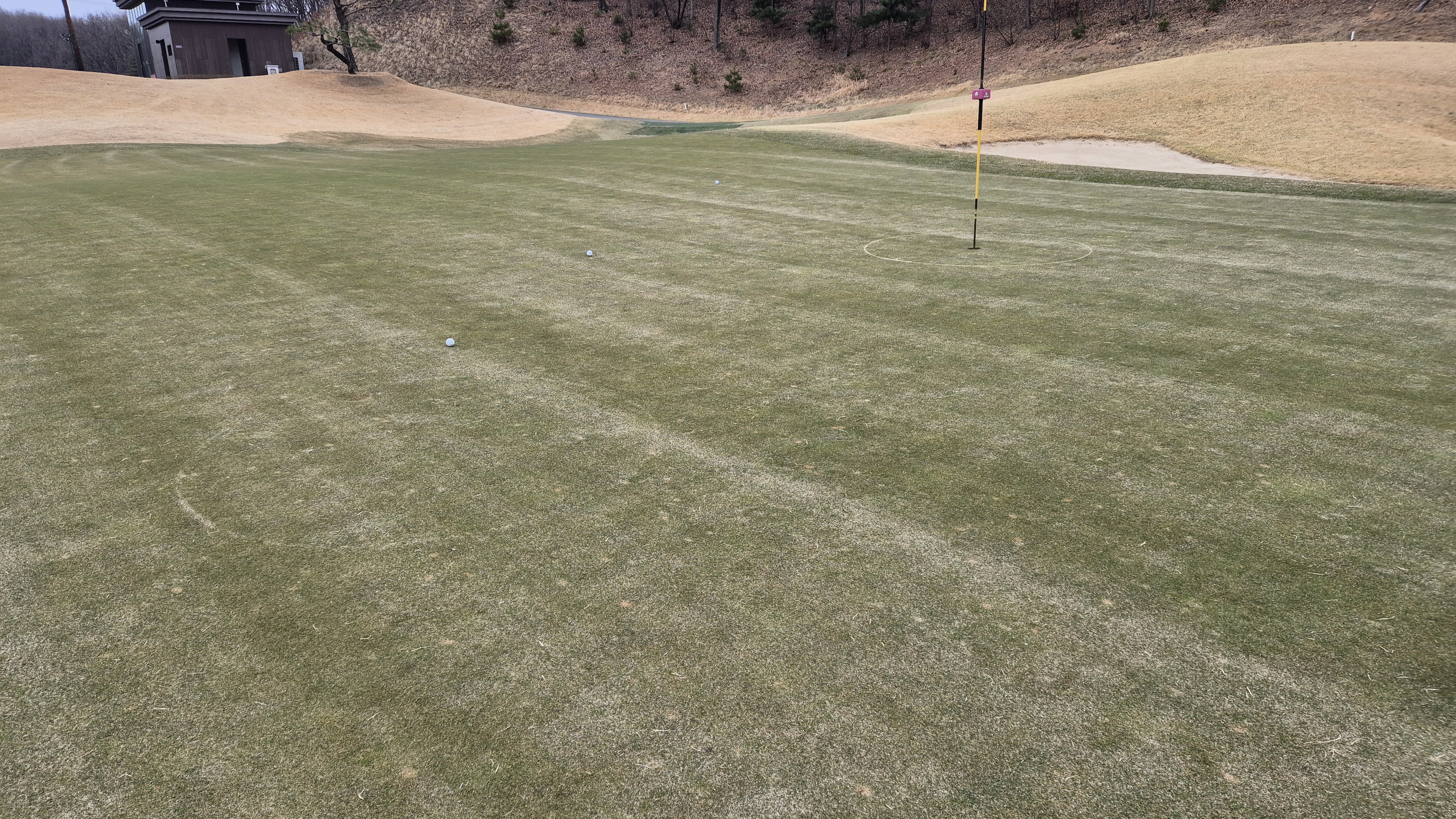 세현cc 그린 관리 상태