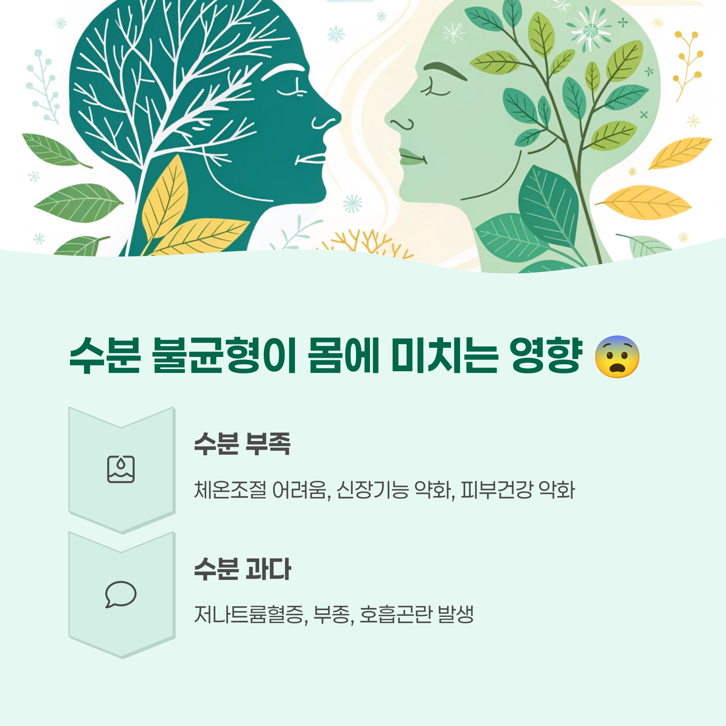 수분 부족 &amp; 과다, 우리 몸에 미치는 영향 😨