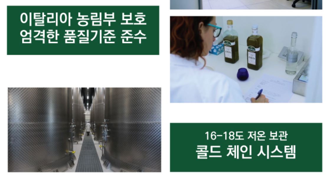 엑스트라버진 올리브오일