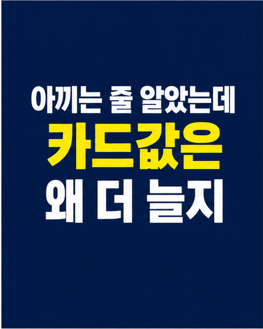 체크카드, 신용카드 차이 카드값 증가 썸네일
