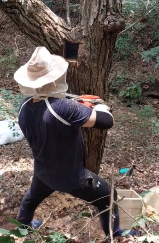 생생정보-홍천-꿀의진수-토종꿀-늘봄농원-수확의달인