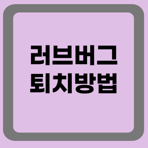 러브버그퇴치방법