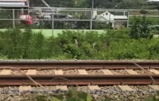 청도 열차 사고 원인