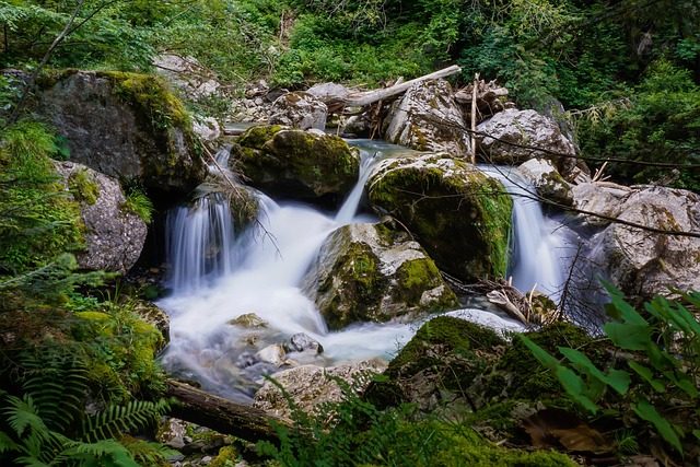 수능 후 멘탈 관리! 우울감 극복 힐링 콘텐츠 지금 바로 보기