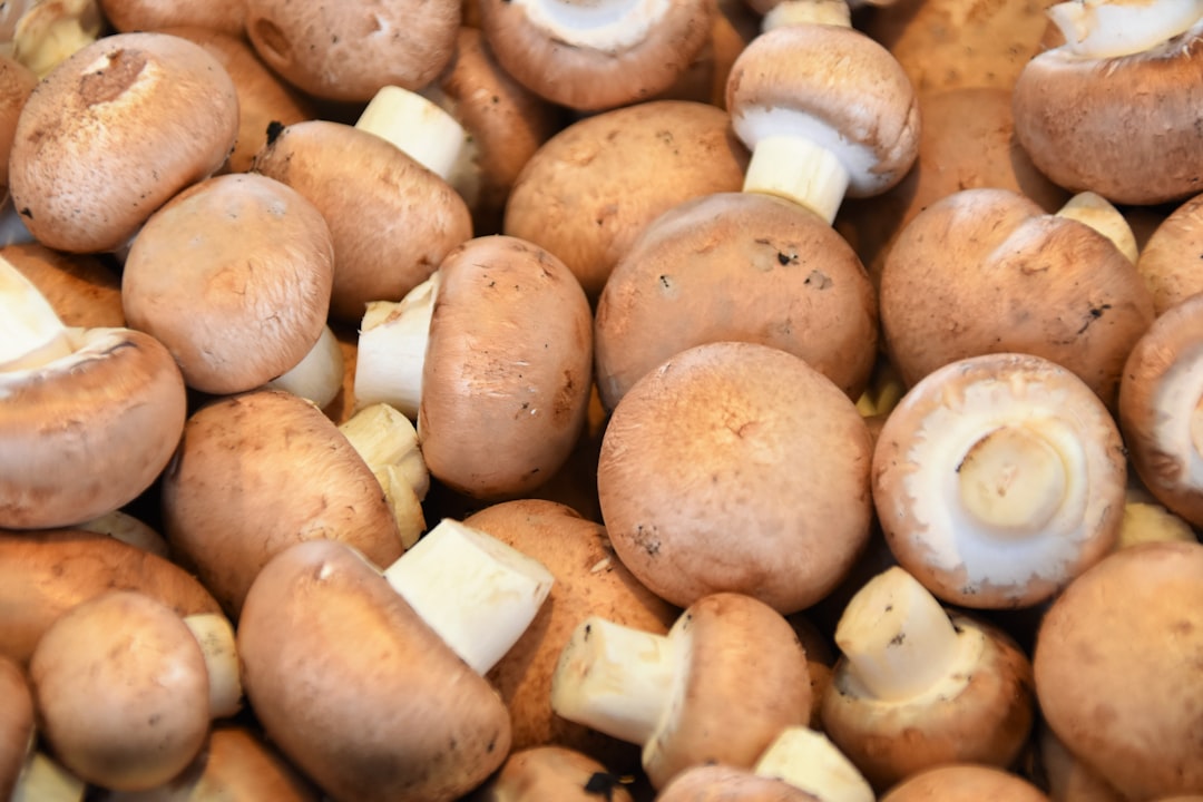 Mushroom.