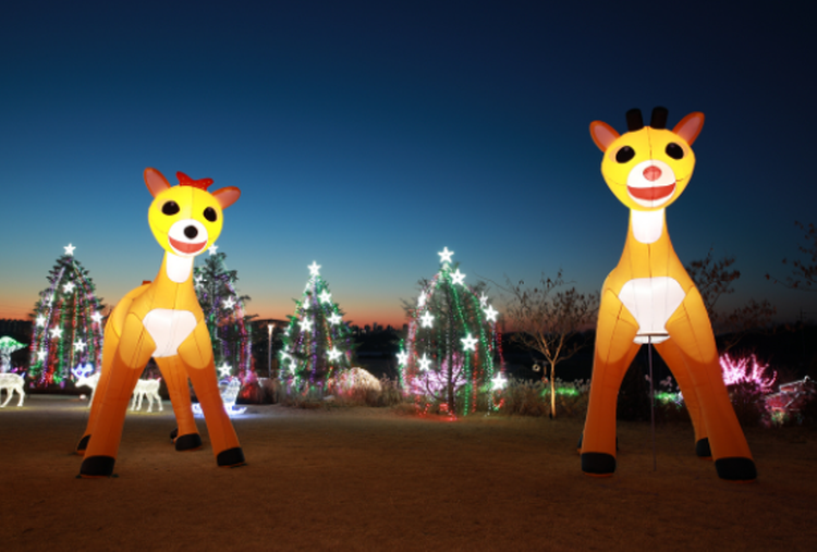 퍼스트가든 별빛축제