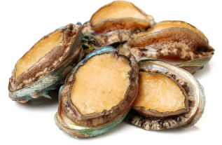 피로회복에 좋은 전복