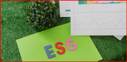 패션 브랜드의 사회적 책임과 환경적 영향력이 그 어느 때보다 중요해진 시대입니다.