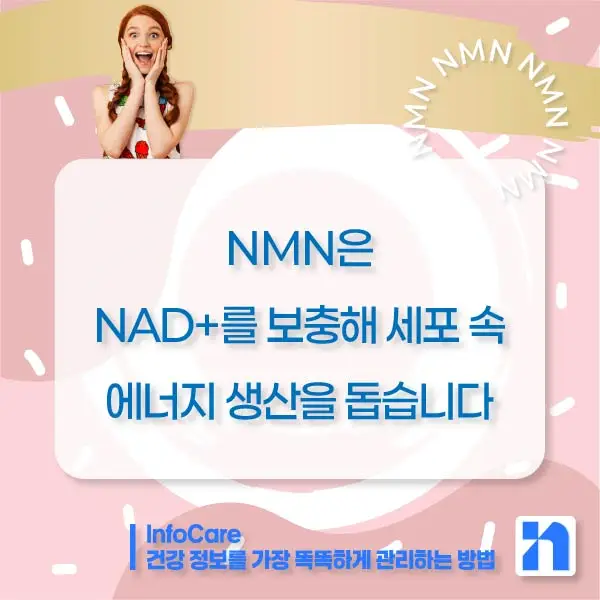 NMN 효능 효과 저속노화 노화방지 항노화