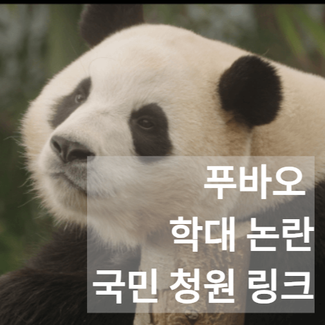 푸바오 학대 논란, 국민 청원 링크 공유