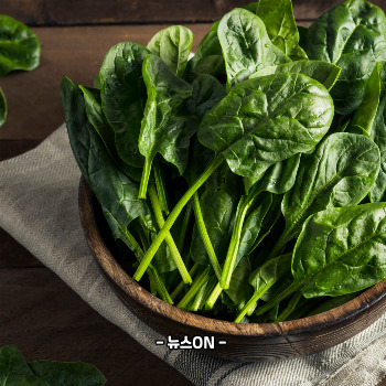 엽산이 많은 음식