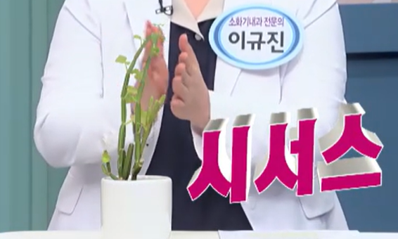 시서스