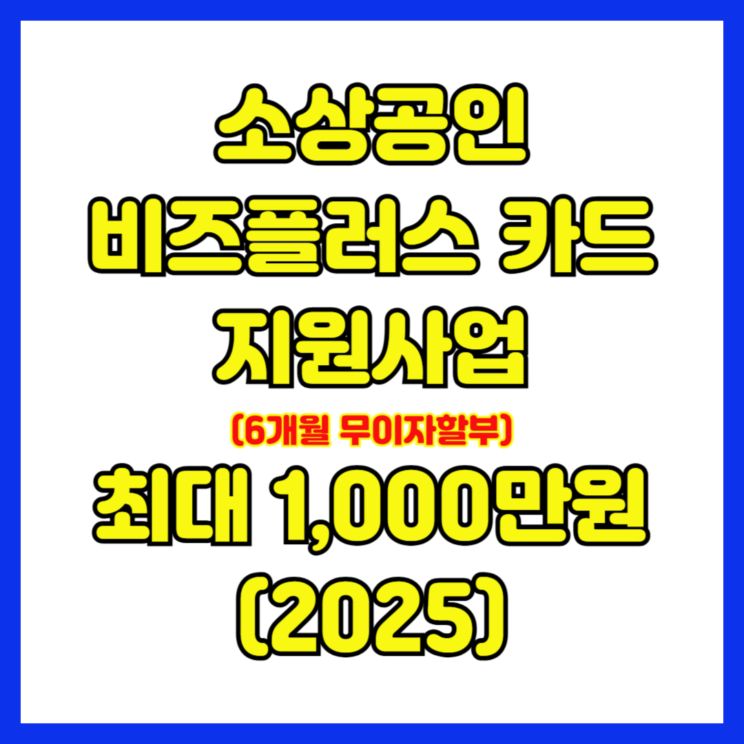 비즈플러스 카드 지원사업