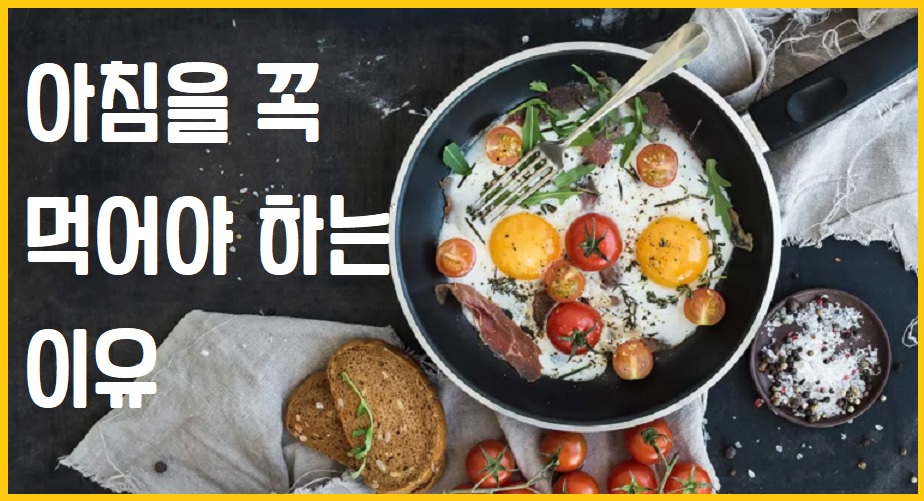 아침을 꼭 먹어야 하는 이유 아침식사의 이점