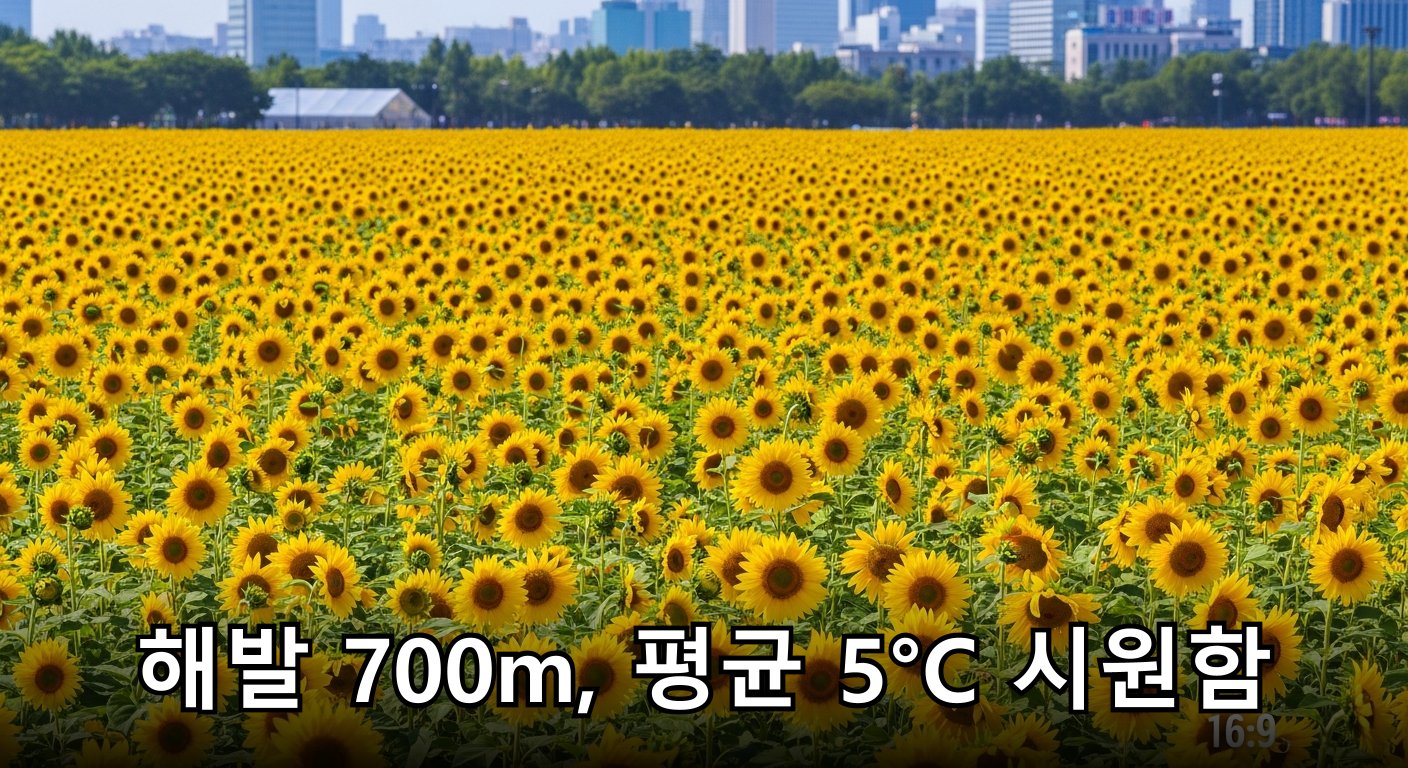 끝없이 펼쳐진 노란 해바라기 물결