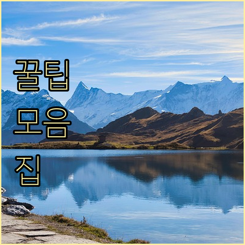 코로나 시대 상생페이백, 카드 사용액..