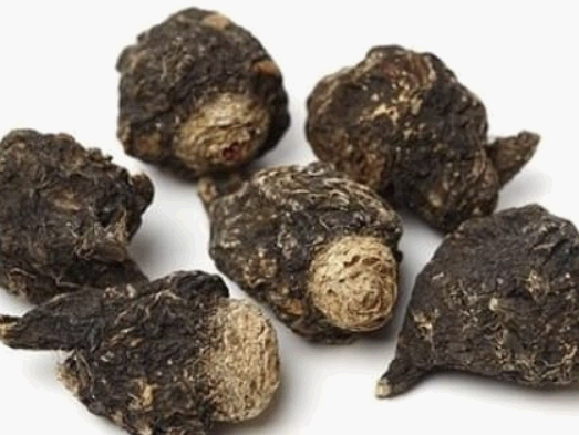 영양제 원료의 모습