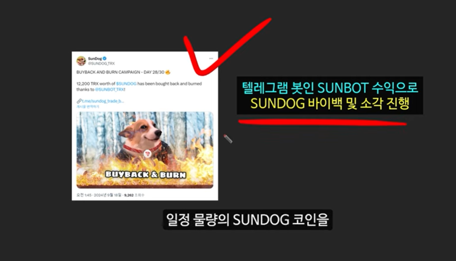 베이비 도지 코인의 급등 이유와 일론 머스크의 영향 ❘ 밈 코인 시장 전망