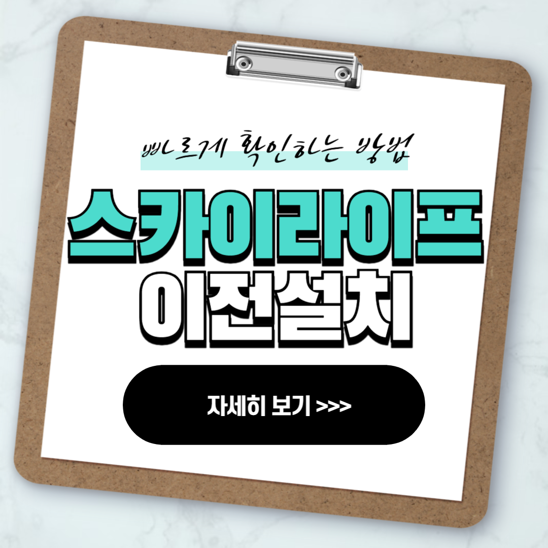 kt 스카이라이프 이전설치 방법