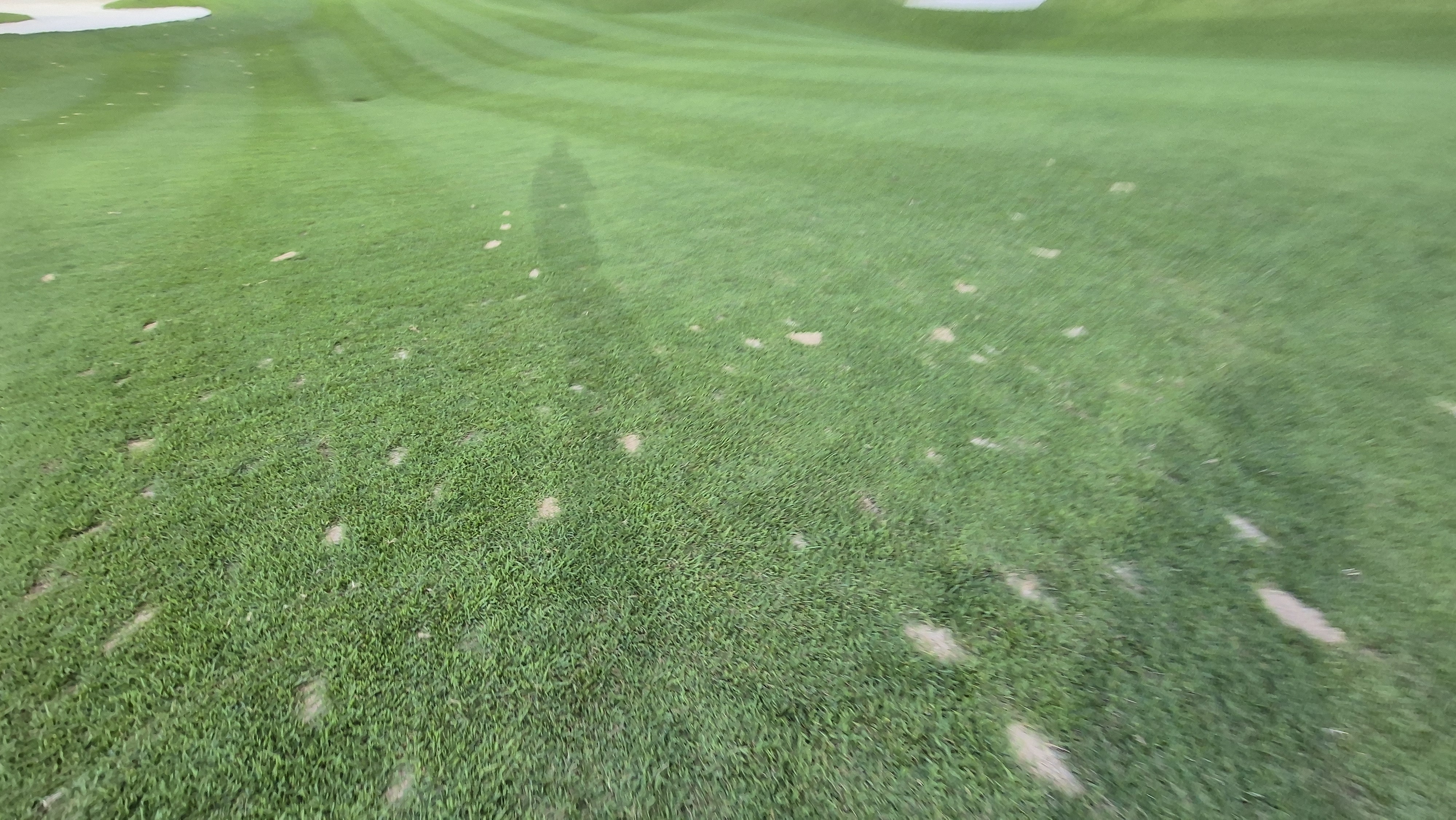 대영힐스cc 청-력 코스 라운드 후기