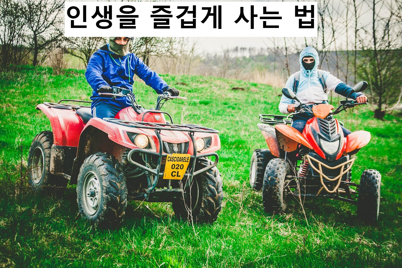 인생을 즐겁게 사는 법