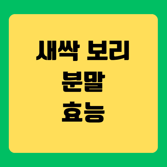 새싹보리 분말 효능 효과(면역력 강화 및 항산화 효과)