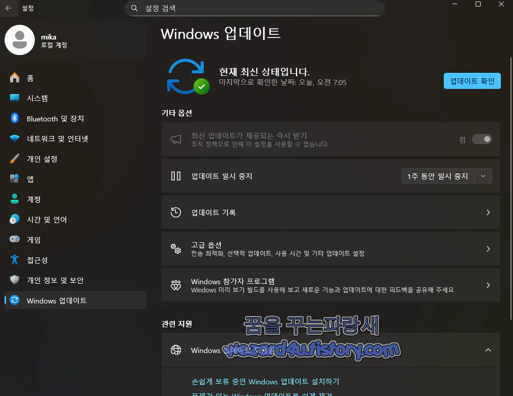 윈도우 11 업데이트