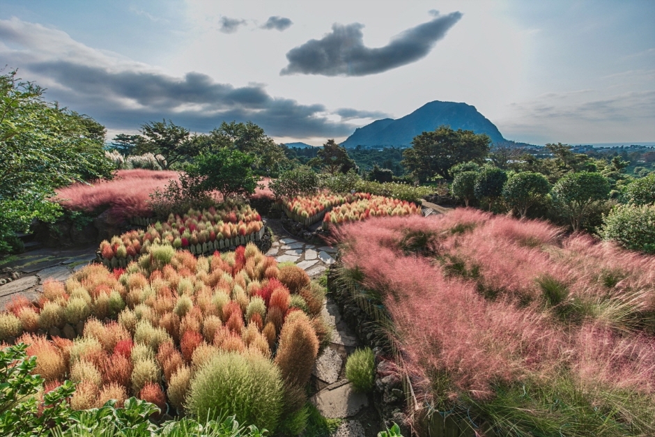 전국 가을축제 일정