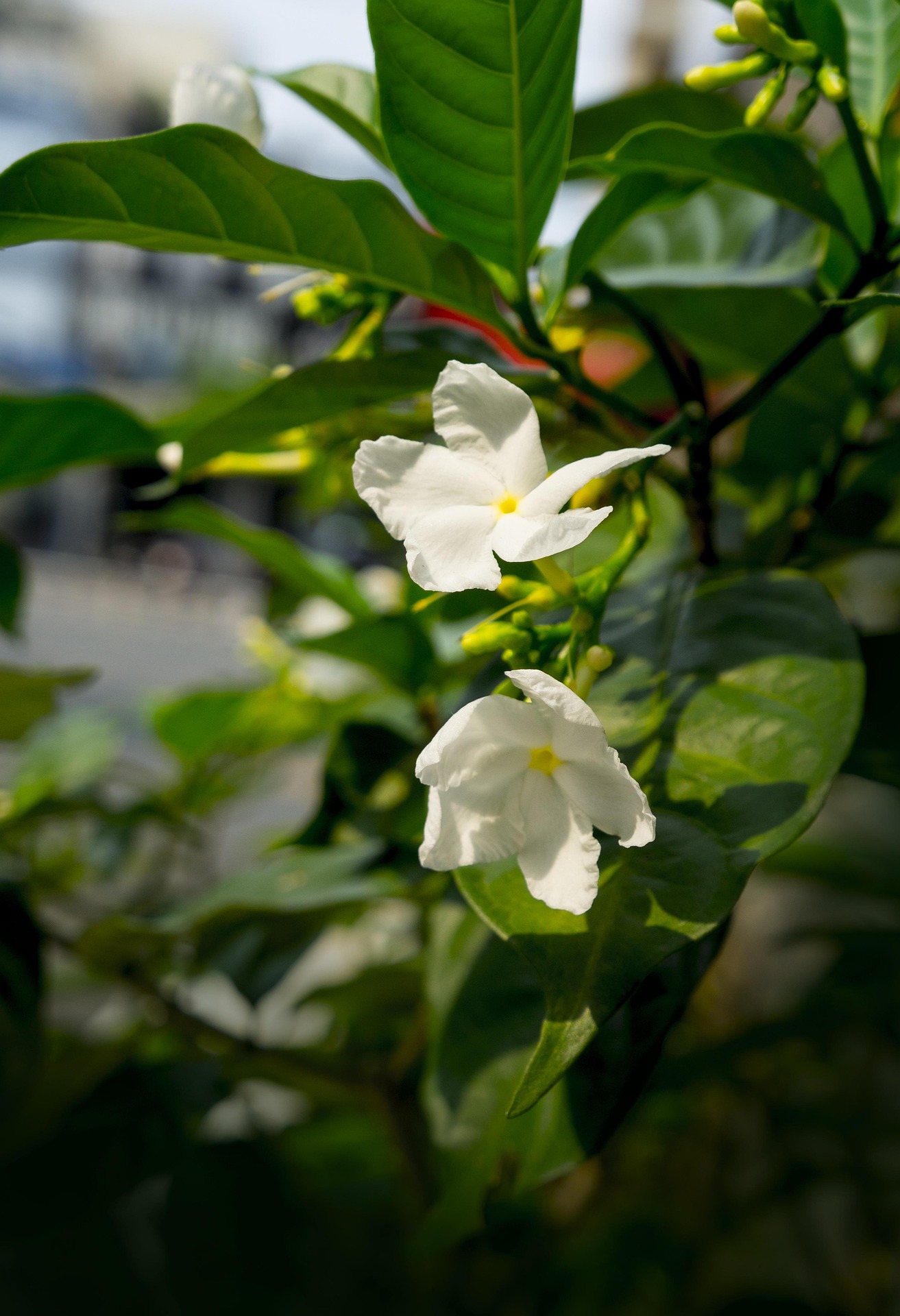&amp;quot;내 마지막은 내가 결정합니다&amp;quot; 자식들의 짐을 덜어주는 &amp;#39;가장 따뜻한 약속&amp;#39;