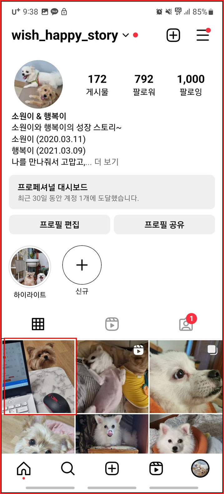 인스타그램 좋아요 수 숨기기