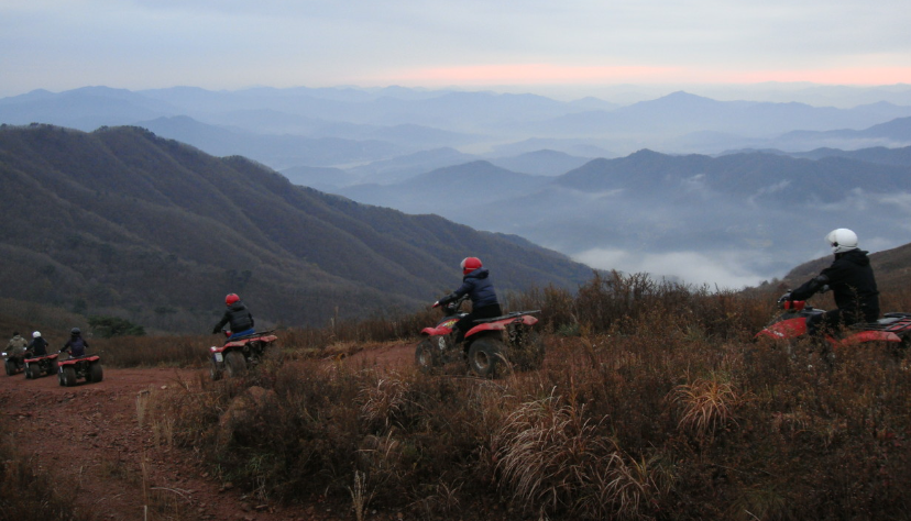 엑스라이프 정보