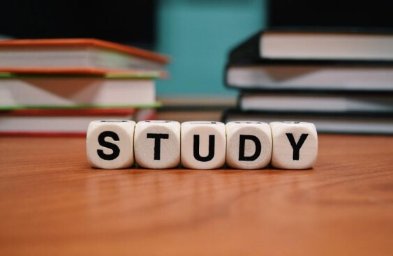 직업상담사 2급 완벽정리(필기 실기 기출) 이미지