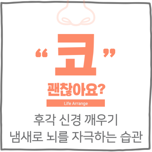 후각 신경 깨우기