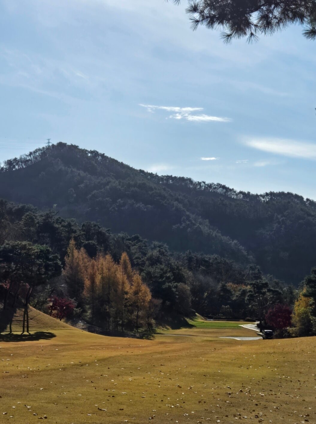 낙엽이 흩어진 가을 페어웨이