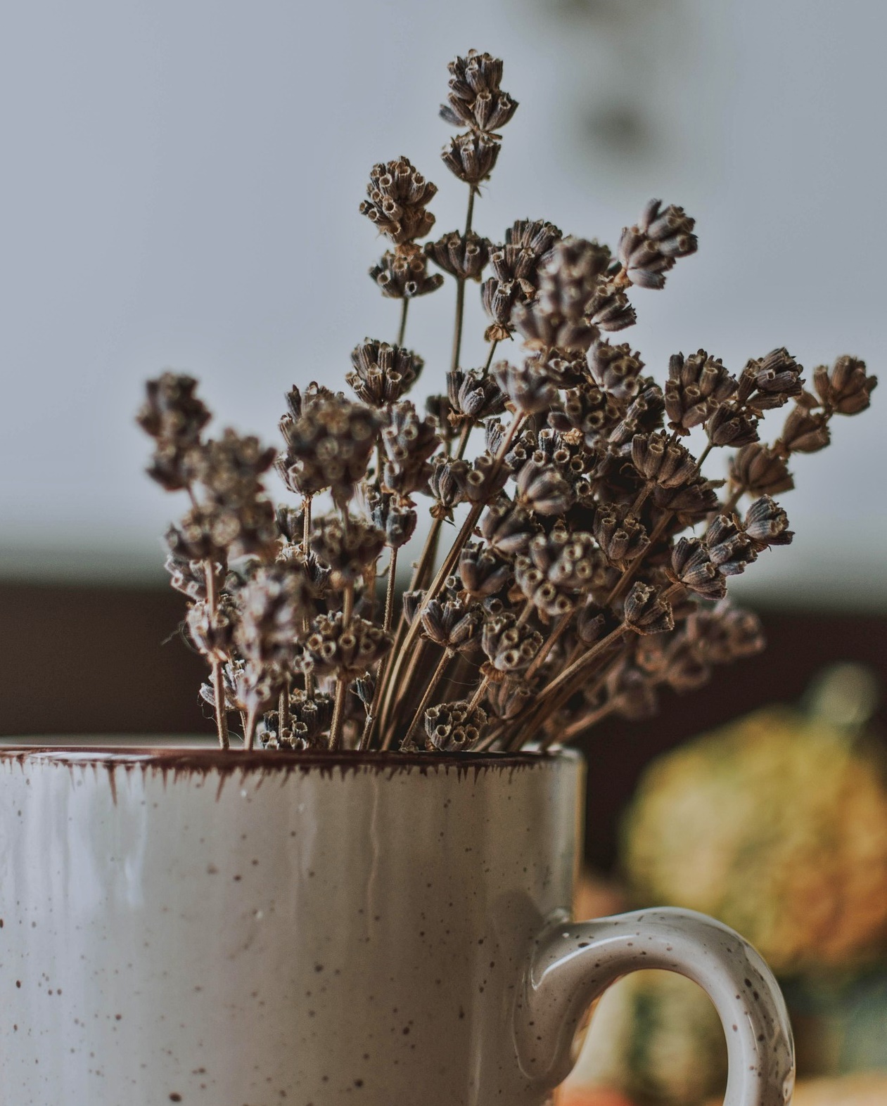 50대 이후 아침 루틴이 몸을 망치는 이유 5가지!