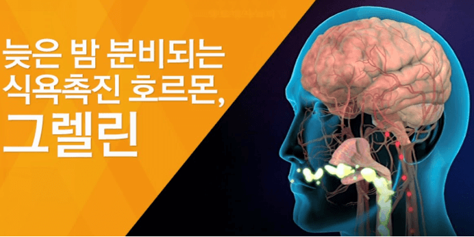 늦은밤 식욕촉진하는 그렐린 호르몬 이미지