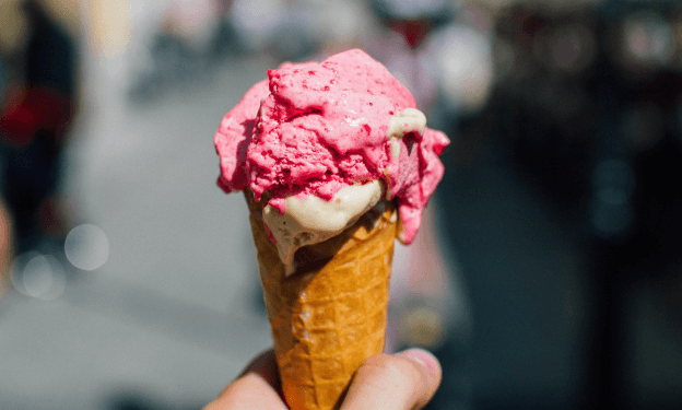 베라31 사전예약