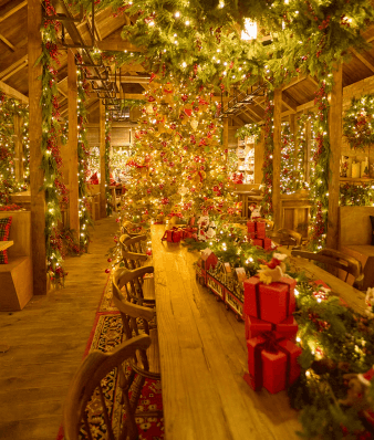 [대전&middot;세종 크리스마스 명소 BEST5] 현대프리미엄아울렛&middot;유성온천&middot;세종 빛트리페스티벌