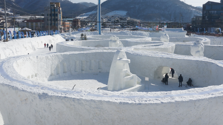 대관령 눈꽃축제
