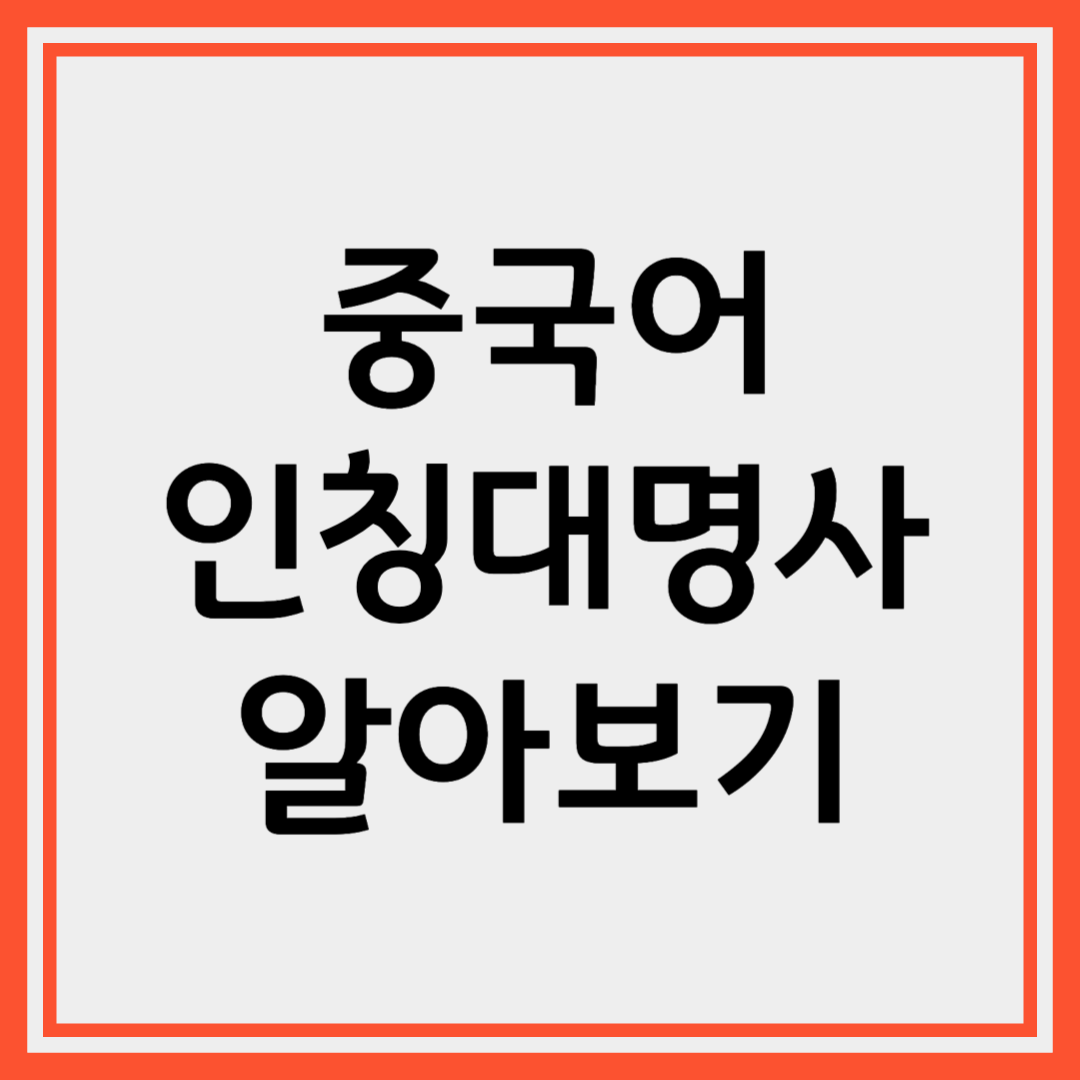중국어 인칭대명사의 종류와 정확한 활용법 정리