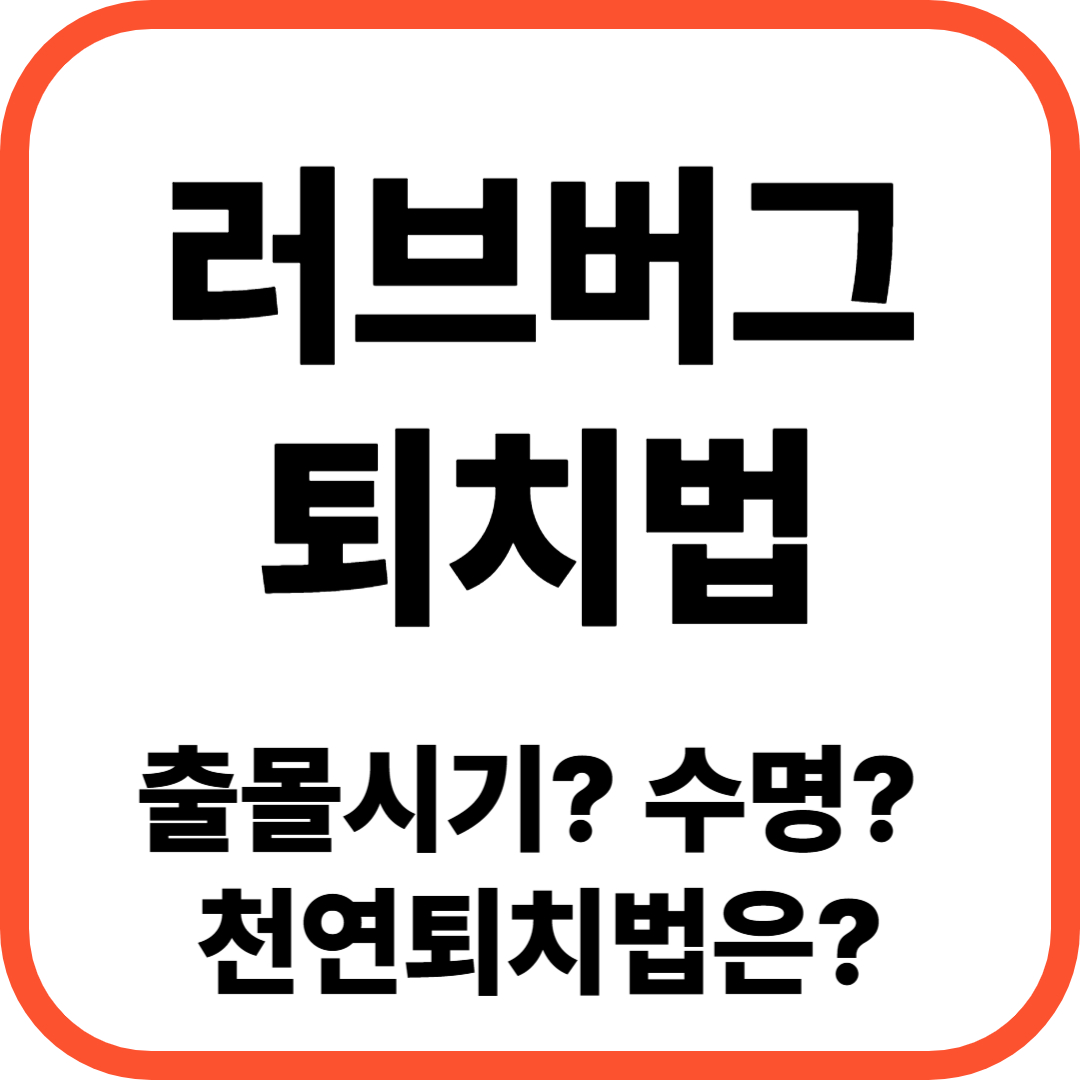 러브버그 퇴치법 총정리(출몰시기, 퇴치제, 수명)