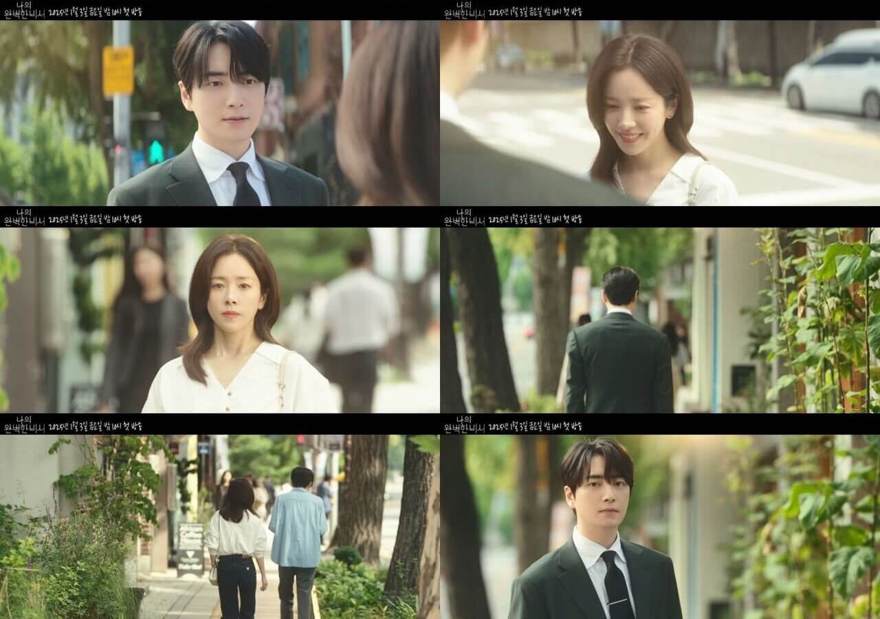 나의 완벽한 비서