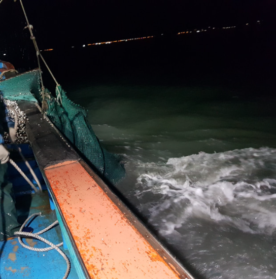 생방송투데이 꼬막 전남 보성 벌교꼬막