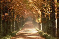 산림자원연구소