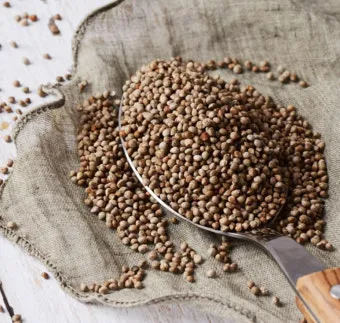 중부지방 들깨 파종시기 및 재배법 농사 팁 정리_10