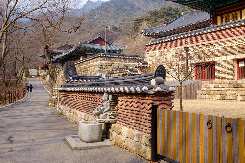 계룡산 동학사. 성벽처럼 쌓은 담장 너머로 한옥 지붕이 슬몃 보인다.