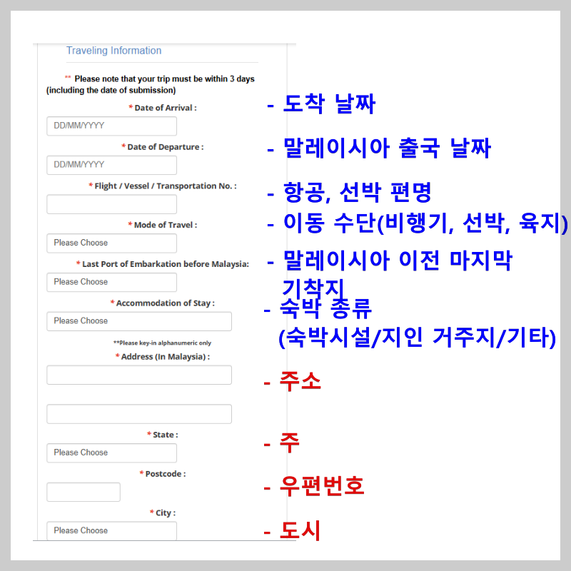 Traveling Information 입력 내용들