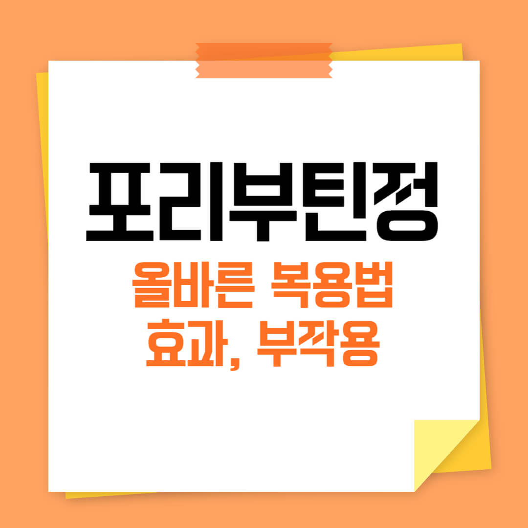 포리부틴정