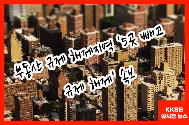 부동산 규제 해제지역