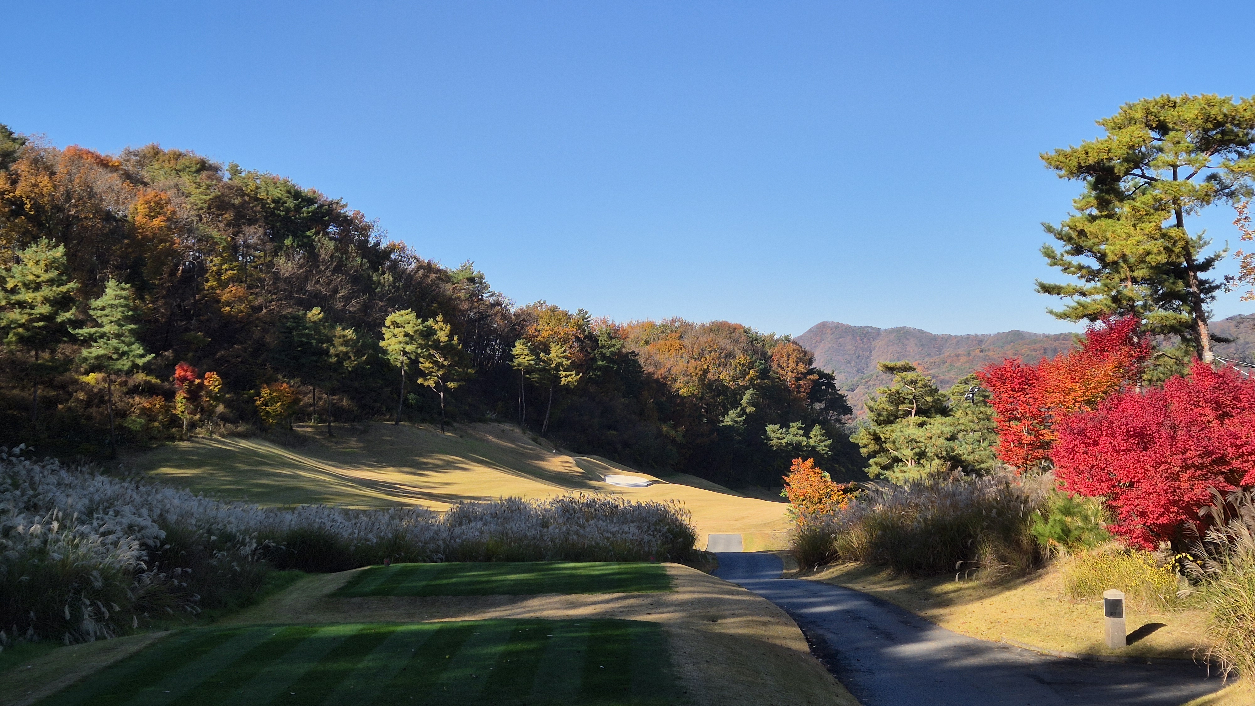 레이캐슬cc 레이 코스 사진 및 공략 정보